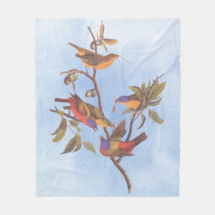 Cobertor De Velo As Aves Pintadas com Audubon são Árvores de Amei