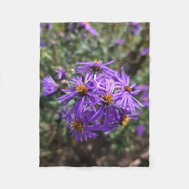 Cobertor De Velo Autumn's Purple Glow (Frente)