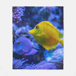 Cobertor De Velo Azul E Amarelo - Dois Bons Pescados