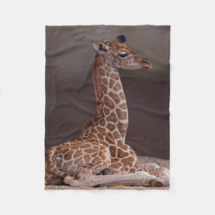 Cobertor De Velo Baby Giraffe Fleece Blanket