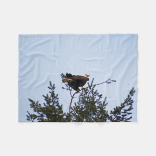 Cobertor De Velo Bald Eagle