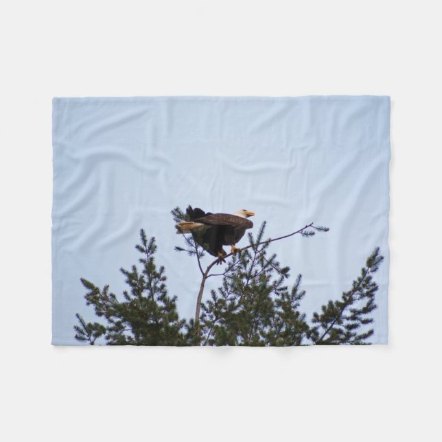 Cobertor De Velo Bald Eagle (Frente (Horizontal))