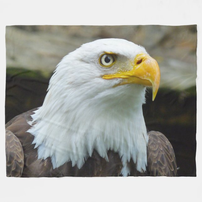 COBERTOR DE VELO BALD EAGLE (Frente (Horizontal))
