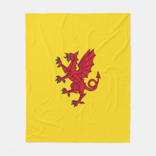 Cobertor De Velo Bandeira de Somerset