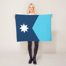 Bandeira do Estado do Minnesota