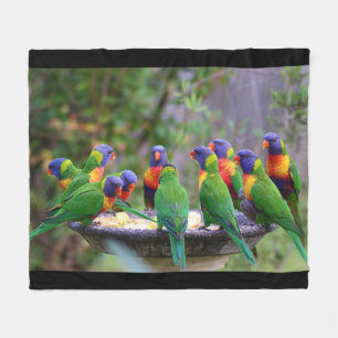 Cobertor De Velo Bando Colorido de Aves do Arco-Íris Lorikeet