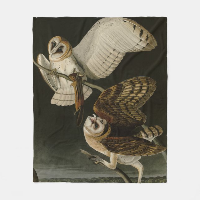 Cobertor De Velo Barn Owl (Tyto alba) Audubon's Birds of America (Frente)