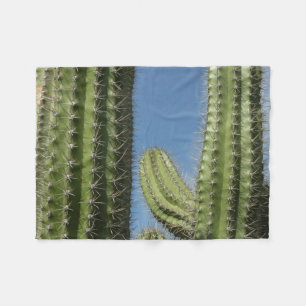 Cobertor De Velo Barrel Cactus I Desert Photo
