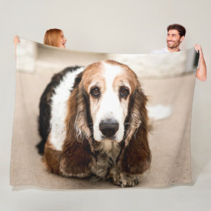 COBERTOR DE VELO BASSET HOUND