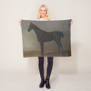 Cobertor De Velo Bay Gelding Horse (por Albrecht Adam)