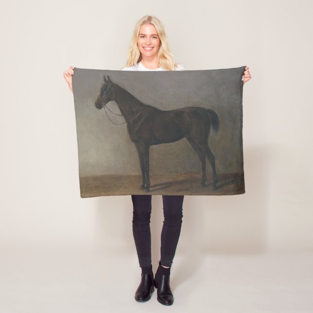 Cobertor De Velo Bay Gelding Horse (por Albrecht Adam) (In Situ)