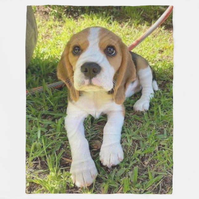 COBERTOR DE VELO BEAGLE PUP (Frente)