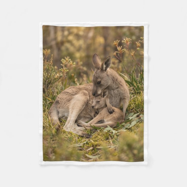 Cobertor De Velo Bebê Canguru Fofo Com Mãe Na Natureza Fleece Bl (Frente)