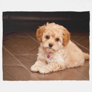 Cobertor De Velo Bebê de poodle maltês ou cachorro maltipoo