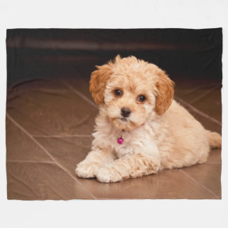Cobertor De Velo Bebê de poodle maltês ou cachorro maltipoo
