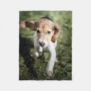 Cobertor De Velo Bebês Mais Pobres   Beagle Puppy