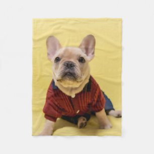 Cobertor De Velo Bebês Mais Pobres   Buldogue francês vestido