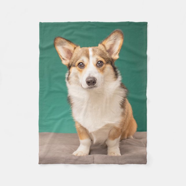 Cobertor De Velo Bebês Mais Pobres | Corgi em Teal (Frente)