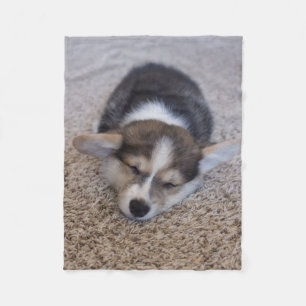 Cobertor De Velo Bebês Mais Pobres   Corgi Puppy em Shag Rug