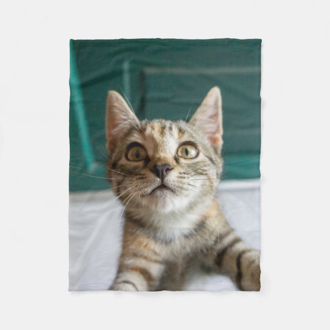 Cobertor De Velo Bebês Mais Pobres | Cute Tabby Kitten (Frente)