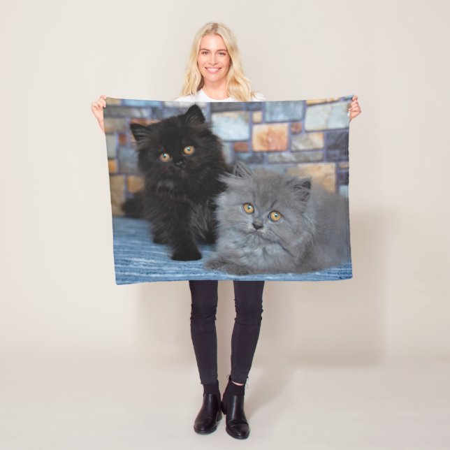 Cobertor De Velo Bebês Mais Pobres | Gatinhos Persa em Aberto (In Situ)