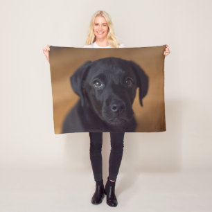 Cobertor De Velo Bebês Mais Pobres   Labrador Preto