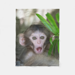 Cobertor De Velo Bebês Mais Pobres Macaco surpreso na neve