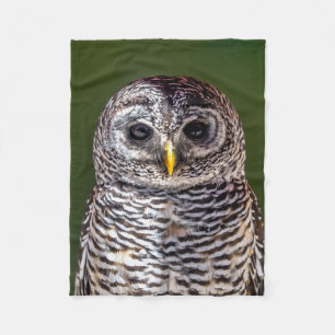 Cobertor De Velo Bebês Mais Pobres Tawny Owl