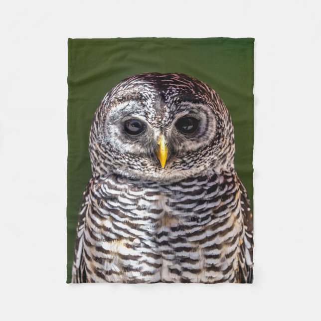 Cobertor De Velo Bebês Mais Pobres | Tawny Owl (Frente)