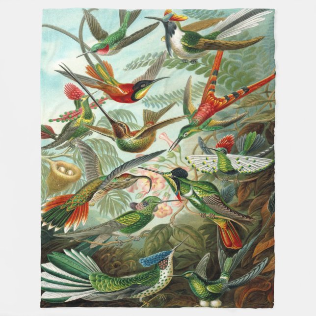 Cobertor De Velo Beija-flores Ernst Haeckel (Frente)
