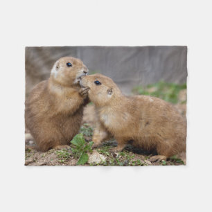 Cobertor De Velo Beije-me cobertura rápida do velo