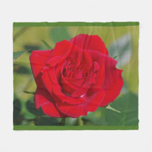 Cobertor De Velo Beleza da rosa vermelha