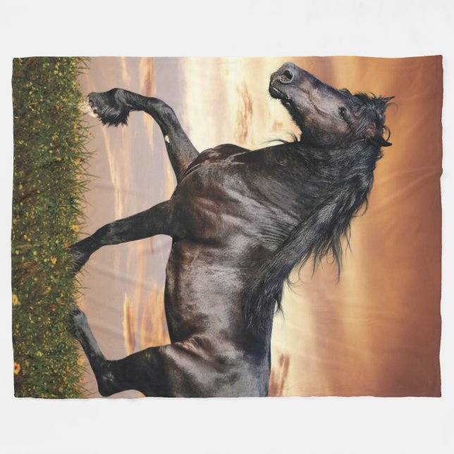 Cobertor De Velo Belo Cavalo Negro (Frente (Horizontal))