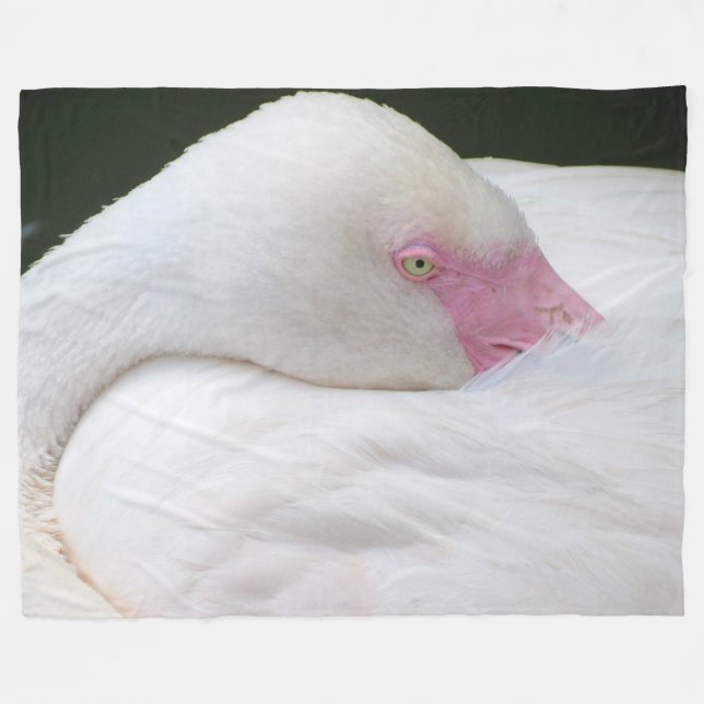 Cobertor De Velo Belo Flamingo Branco (Frente (Horizontal))