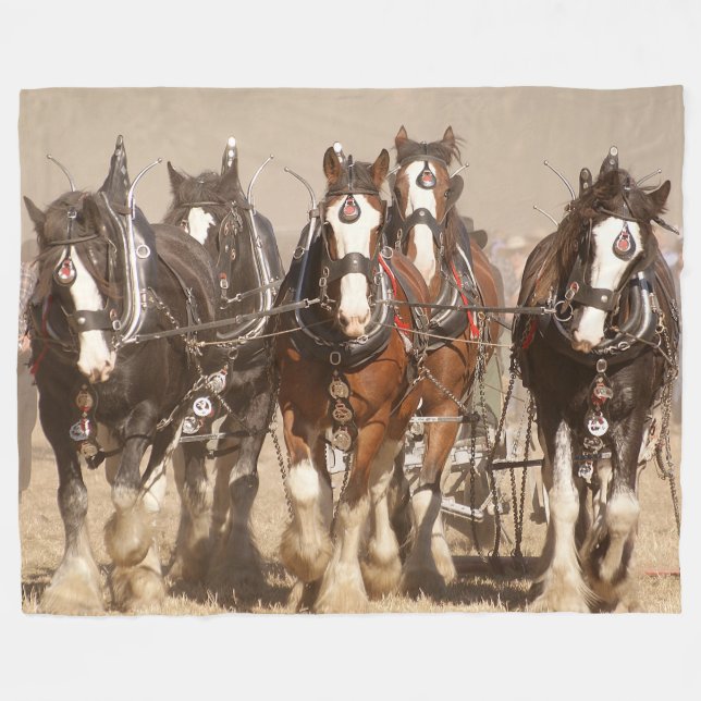 Cobertor De Velo Belos Cavalos Clydesdale Espalhando - Trabalho em  (Frente (Horizontal))