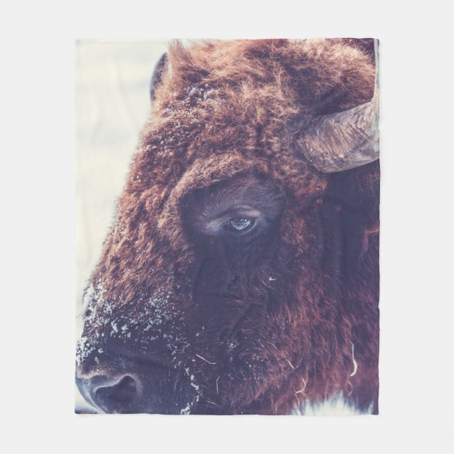 COBERTOR DE VELO BISON NO INVERNO (Frente)