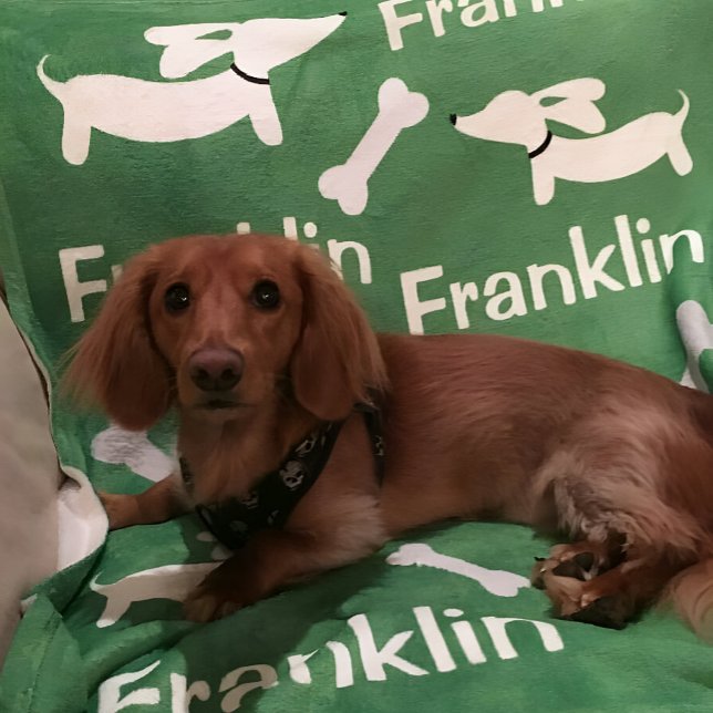 Cobertor De Velo Blanket Personalizado do Cachshund para o Wiener C (Dachshund blanket - personalized wiener dog gift )