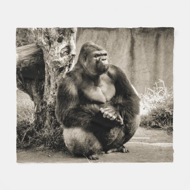 COBERTOR DE VELO BOMBA DE BORDA DE PENSAMENTO (Frente (Horizontal))