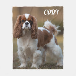 Cobertor De Velo Bonito cavaleiro Rei Charles Personalizado Blanket