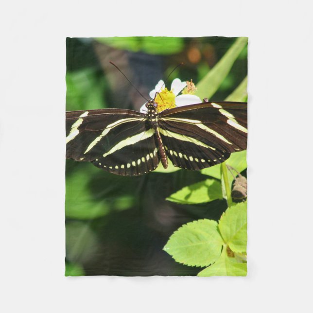 Cobertor De Velo Borboleta Zebra Longwing (Frente)