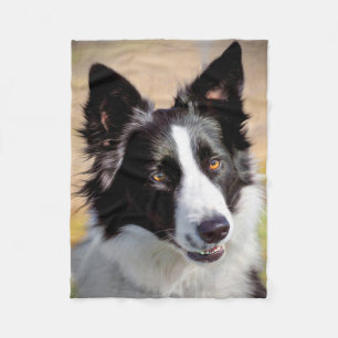 Cobertor De Velo Border collie