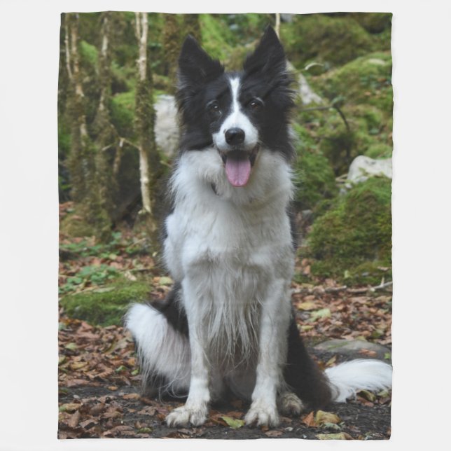 COBERTOR DE VELO BORDER COLLIE (Frente)