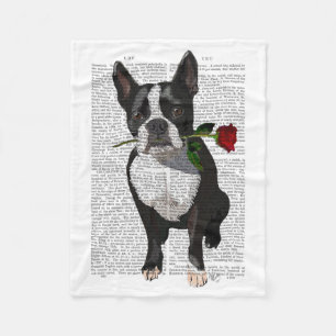 Cobertor De Velo Boston Terrier com Rosa em Boca