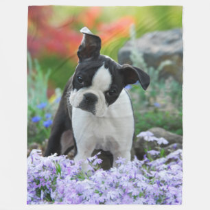 Cobertor De Velo Boston Terrier Dog Cute Puppy Animal Head Photo -