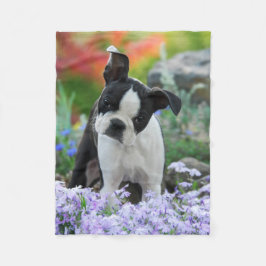 Cobertor De Velo Boston Terrier Dog Puppy comfy