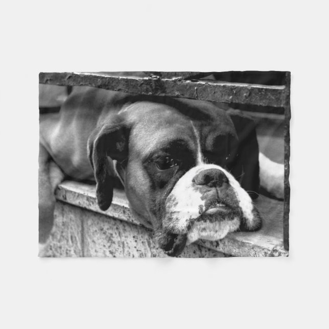 Cobertor De Velo Boxer Dog On Windowsill fbcna (Frente (Horizontal))