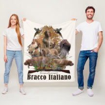 Bracco italiano