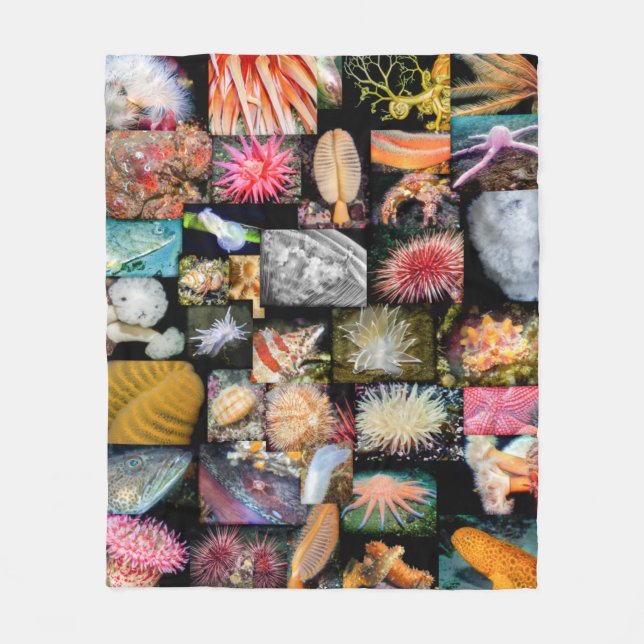 Cobertor De Velo British Columbia Marine Life Collage Blanket (Frente)