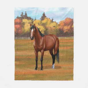 Cobertor De Velo Brown Bay Quarter Horse Stallion