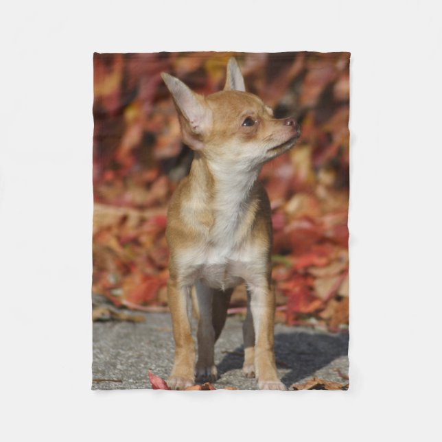 Cobertor De Velo Brown Chihuahua Puppy (Frente)